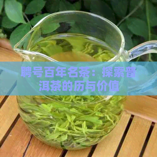 聘号百年名茶：探索普洱茶的历与价值