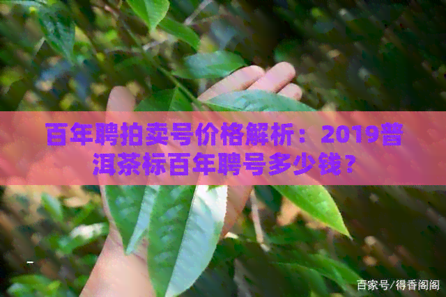 百年聘拍卖号价格解析：2019普洱茶标百年聘号多少钱？