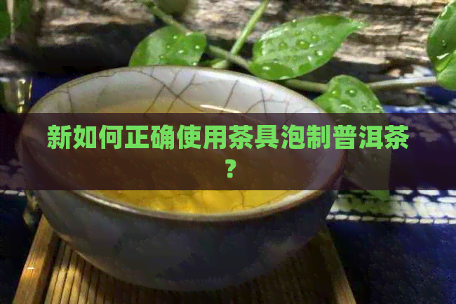 新如何正确使用茶具泡制普洱茶？