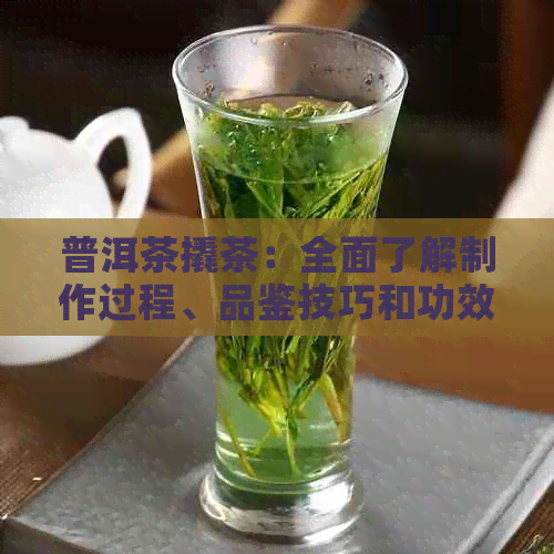 普洱茶撬茶：全面了解制作过程、品鉴技巧和功效作用的一站式指南