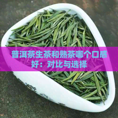 普洱茶生茶和熟茶哪个口感好：对比与选择