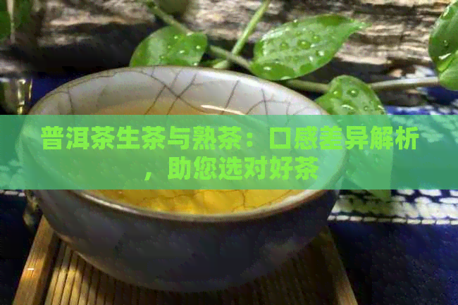 普洱茶生茶与熟茶：口感差异解析，助您选对好茶