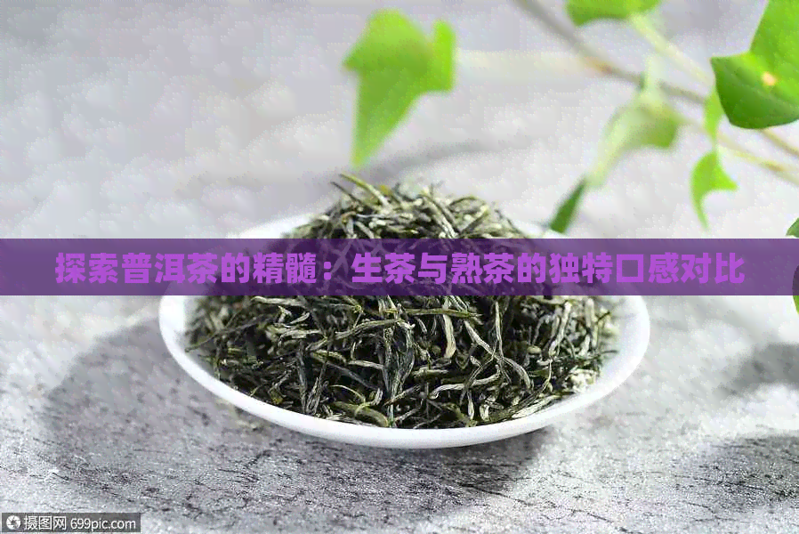 探索普洱茶的精髓：生茶与熟茶的独特口感对比