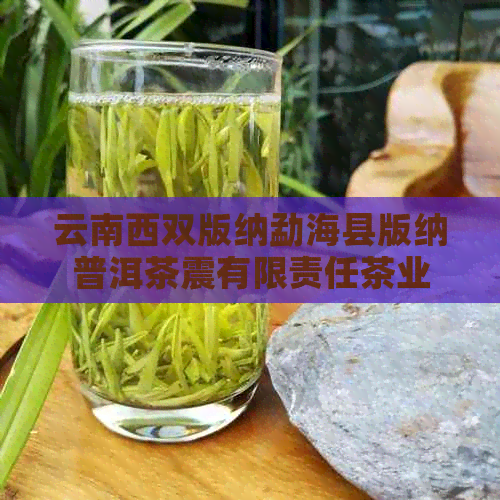 云南西双版纳勐海县版纳普洱茶震有限责任茶业