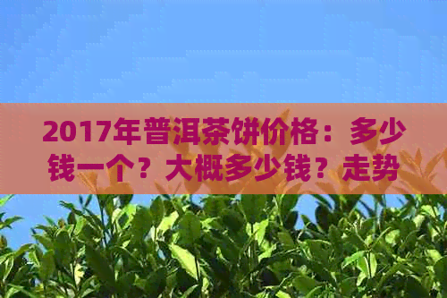 2017年普洱茶饼价格：多少钱一个？大概多少钱？走势如何？