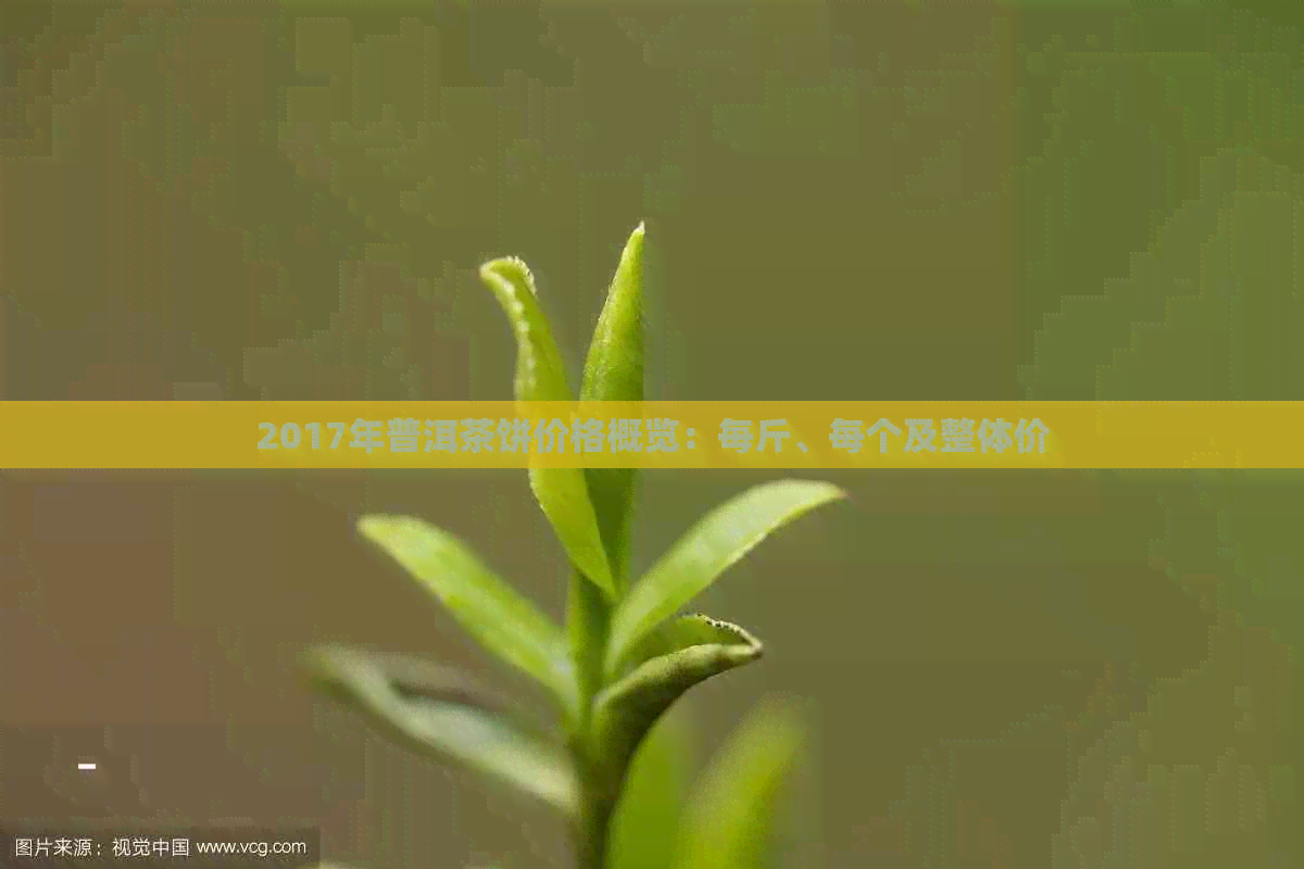 2017年普洱茶饼价格概览：每斤、每个及整体价