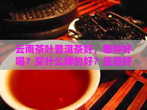 云南茶叶普洱茶好，哪种好喝？买什么牌的好？品质好的原因是什么？