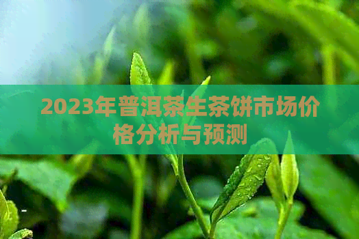 2023年普洱茶生茶饼市场价格分析与预测