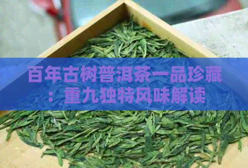 百年古树普洱茶一品珍藏：重九独特风味解读