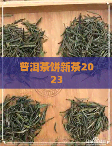 普洱茶饼新茶2023