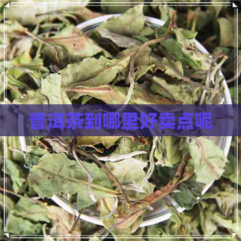 普洱茶到哪里好卖点呢