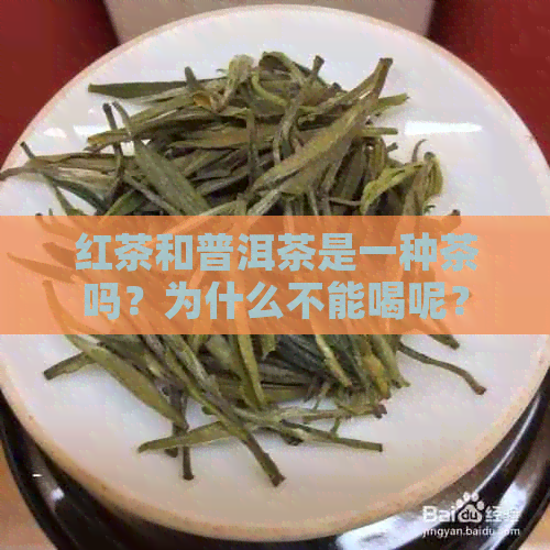 红茶和普洱茶是一种茶吗？为什么不能喝呢？