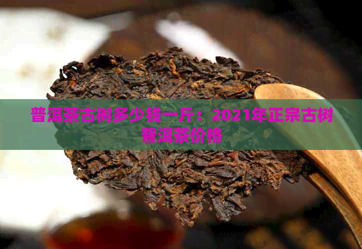 普洱茶古树多少钱一斤：2021年正宗古树普洱茶价格