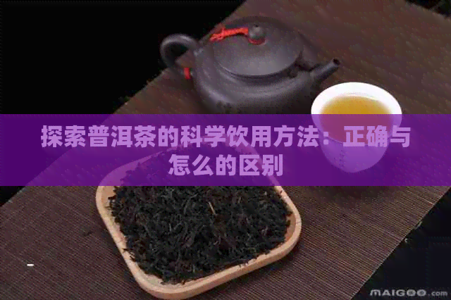 探索普洱茶的科学饮用方法：正确与怎么的区别