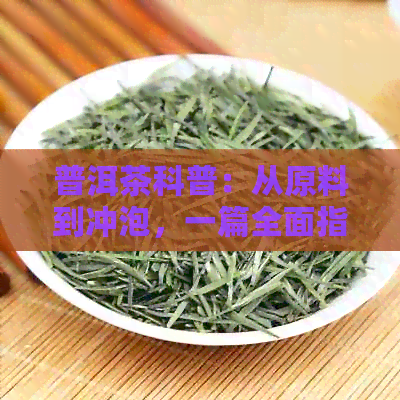 普洱茶科普：从原料到冲泡，一篇全面指南解答所有疑问