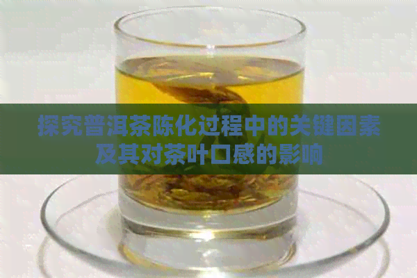 探究普洱茶陈化过程中的关键因素及其对茶叶口感的影响