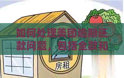 如何处理美团逾期还款问题，包括全款和分期的解决方案？