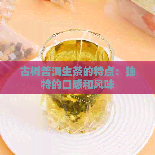 古树普洱生茶的特点：独特的口感和风味