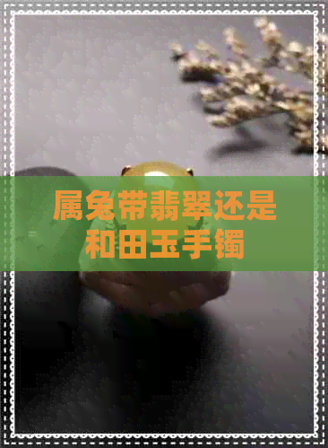 属兔带翡翠还是和田玉手镯