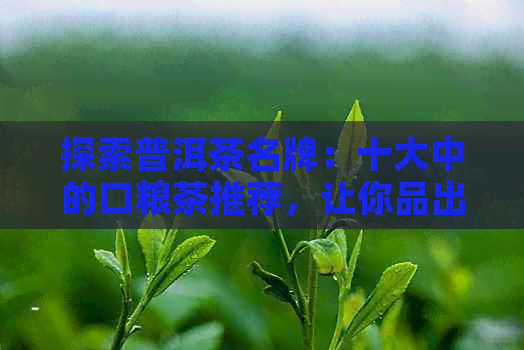 探索普洱茶名牌：十大中的口粮茶推荐，让你品出不同风味