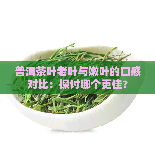 普洱茶叶老叶与嫩叶的口感对比：探讨哪个更佳？