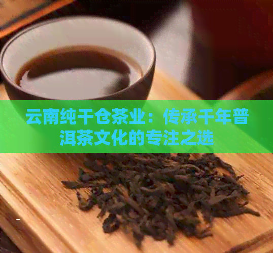 云南纯干仓茶业：传承千年普洱茶文化的专注之选