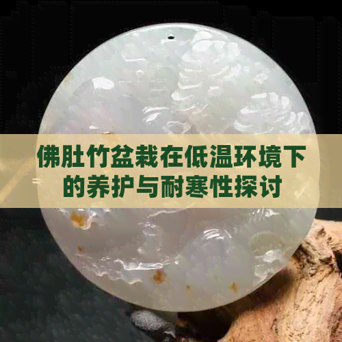 佛肚竹盆栽在低温环境下的养护与耐寒性探讨