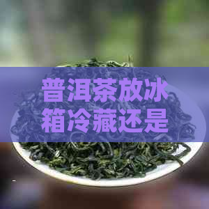 普洱茶放冰箱冷藏还是冷冻：普洱茶存放的方式