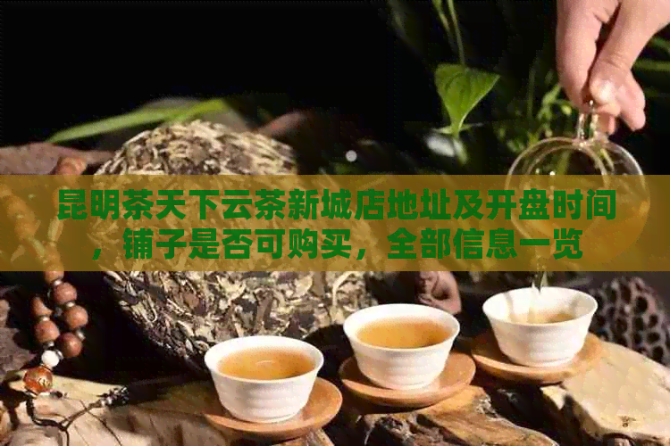 昆明茶天下云茶新城店地址及开盘时间，铺子是否可购买，全部信息一览