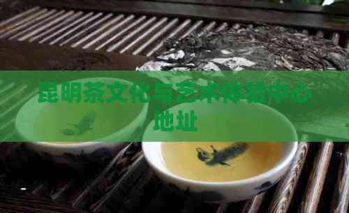 昆明茶文化与艺术体验中心地址