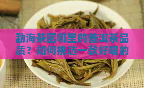 勐海茶区哪里的普洱茶品质？如何挑选一款好喝的普洱茶？