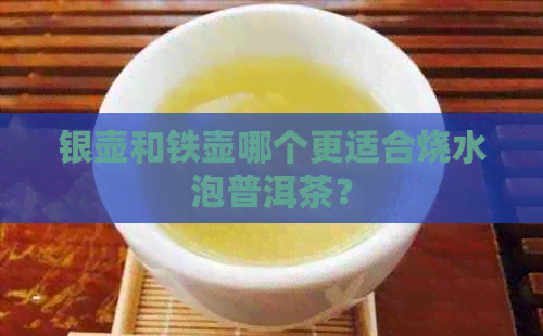 银壶和铁壶哪个更适合烧水泡普洱茶？