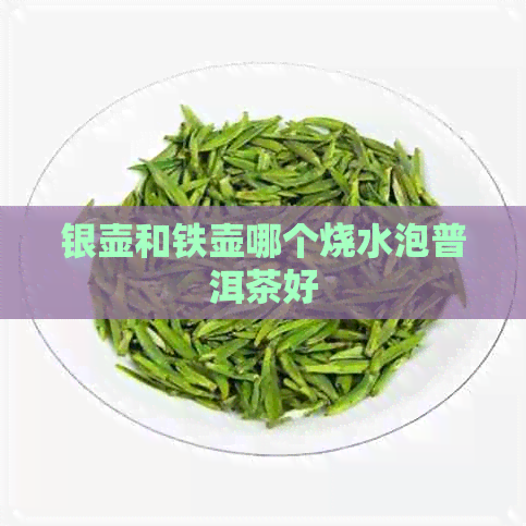 银壶和铁壶哪个烧水泡普洱茶好