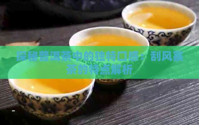 探秘普洱茶中的独特口感：刮风寨茶的特点解析