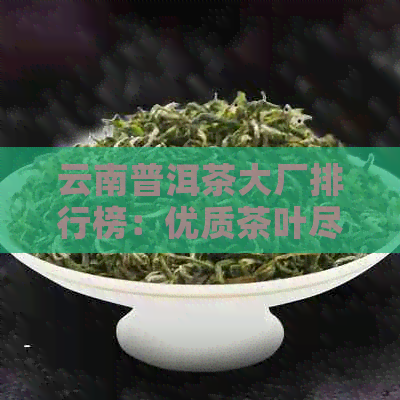 云南普洱茶大厂排行榜：优质茶叶尽在其中