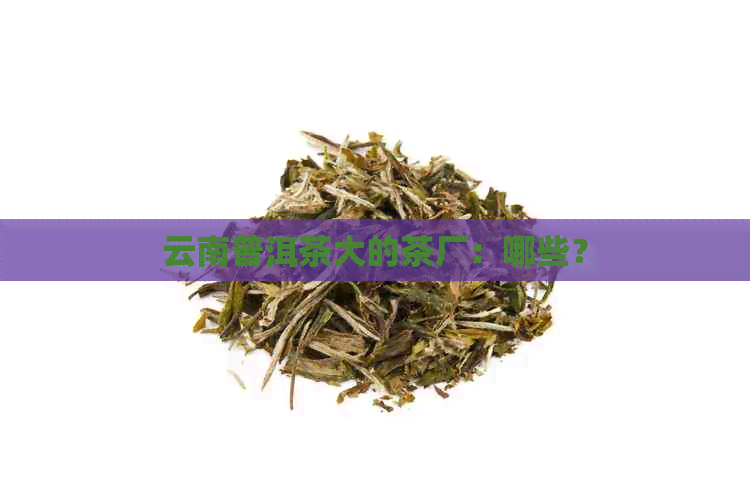 云南普洱茶大的茶厂：哪些？