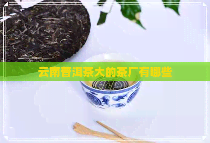 云南普洱茶大的茶厂有哪些