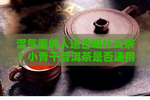 湿气重的人适合喝什么茶？小青干普洱茶是否适用？