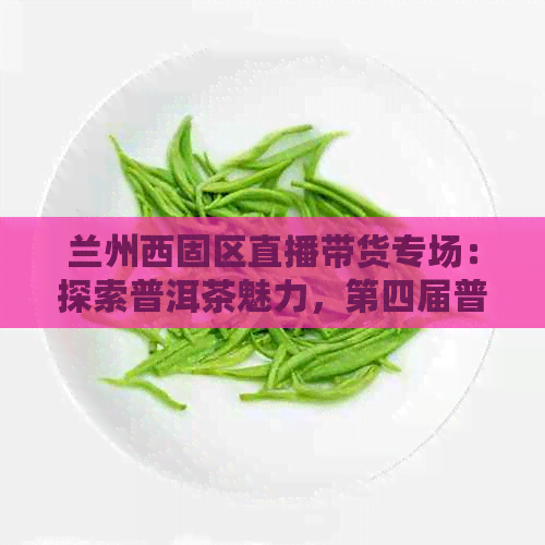 兰州西固区直播带货专场：探索普洱茶魅力，第四届普洱茶博览会精彩回顾