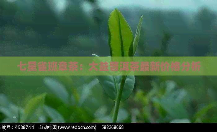 七星雀班章茶：大益普洱茶最新价格分析