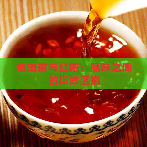 普洱茶与红茶：品味之间的微妙区别