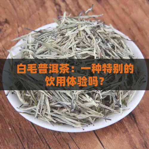 白毛普洱茶：一种特别的饮用体验吗？