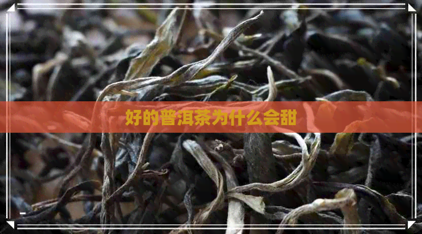 好的普洱茶为什么会甜