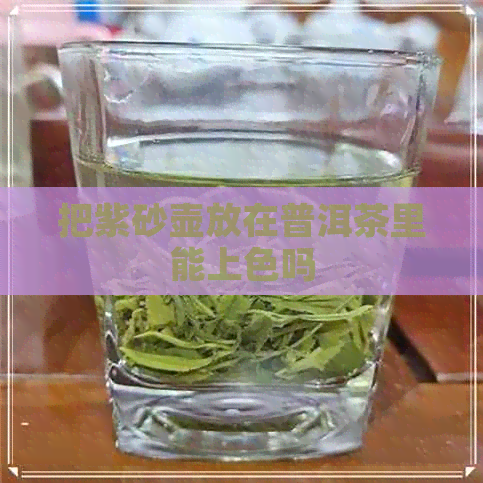 把紫砂壶放在普洱茶里能上色吗