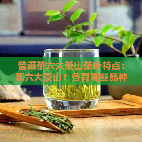 普洱茶六大茶山茶叶特点：哪六大茶山？各有哪些品种？