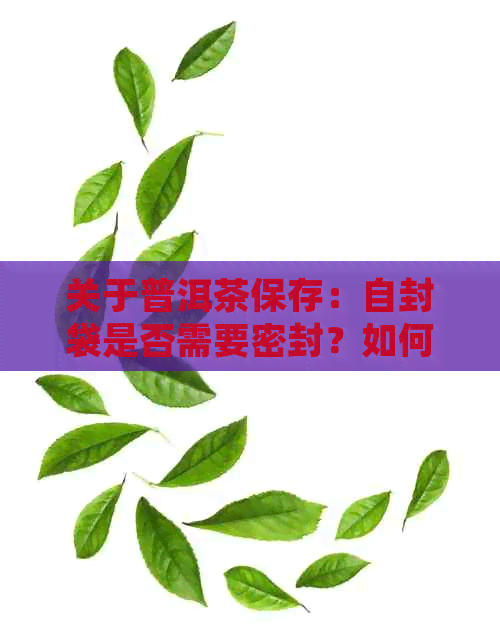 关于普洱茶保存：自封袋是否需要密封？如何确保茶叶保持品质？