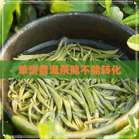 单饼普洱茶能不能转化