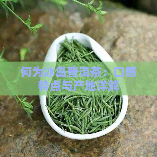 何为冰岛普洱茶：口感特点与产地详解