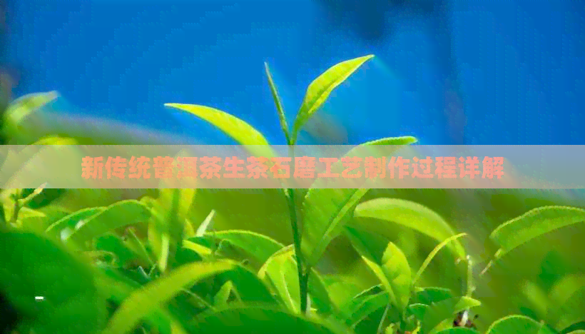 新传统普洱茶生茶石磨工艺制作过程详解