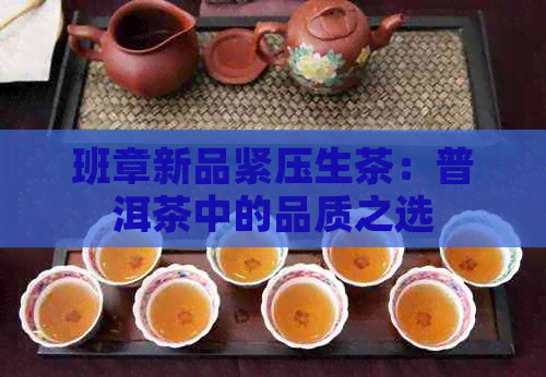 班章新品紧压生茶：普洱茶中的品质之选